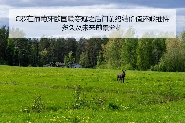 C罗在葡萄牙欧国联夺冠之后门前终结价值还能维持多久及未来前景分析