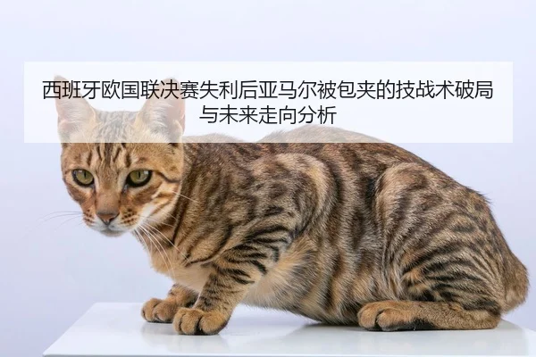 西班牙欧国联决赛失利后亚马尔被包夹的技战术破局与未来走向分析